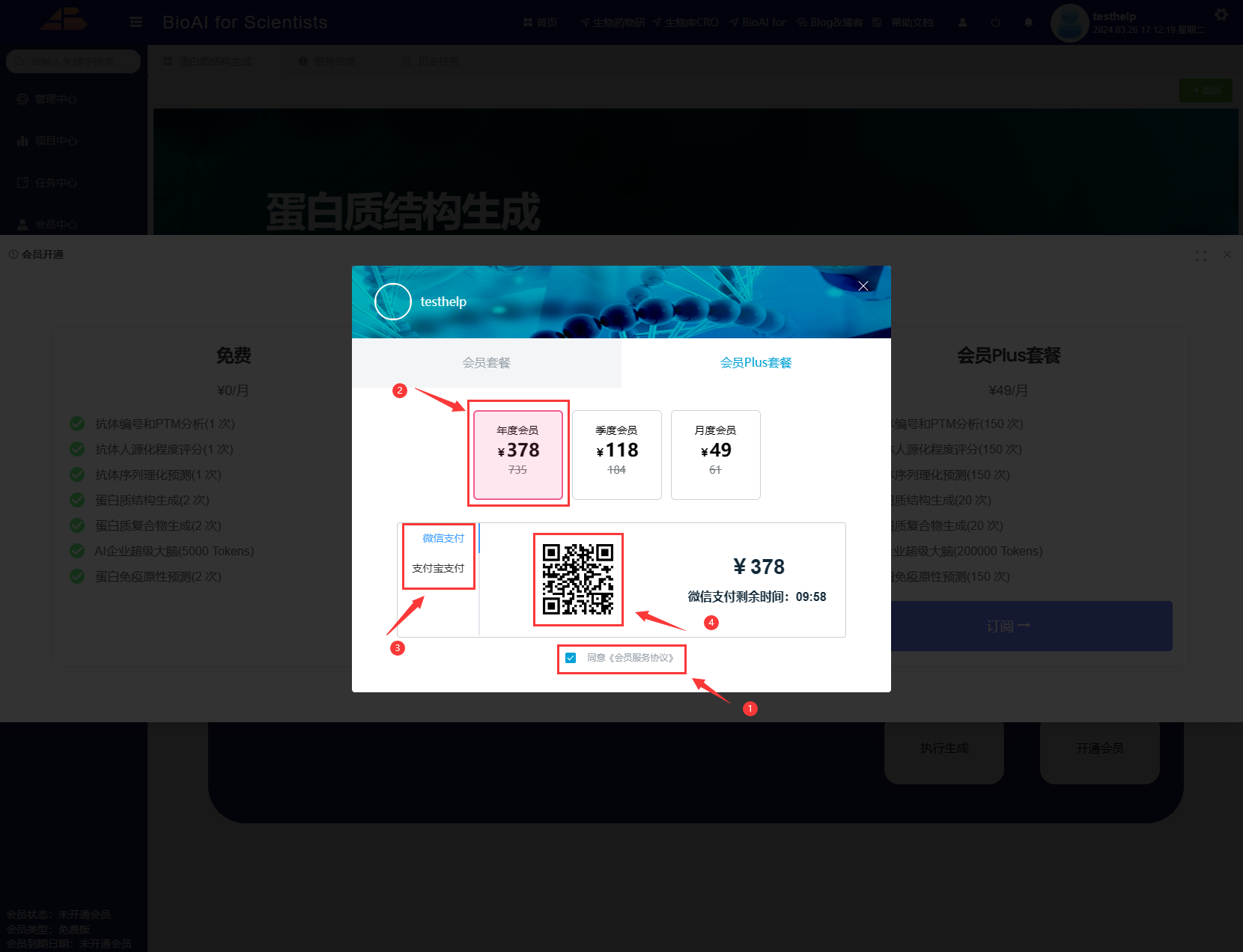 vip_pay