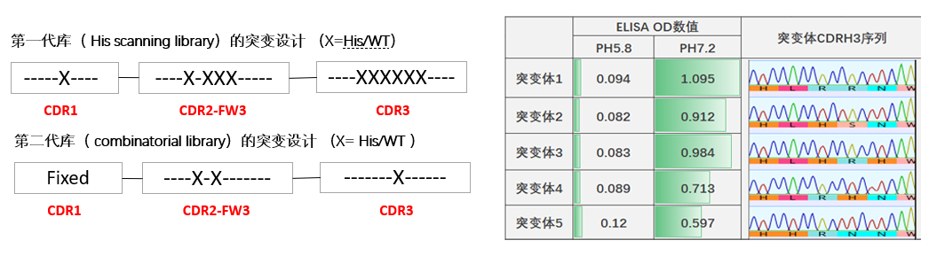 WPS图片(1) 拷贝