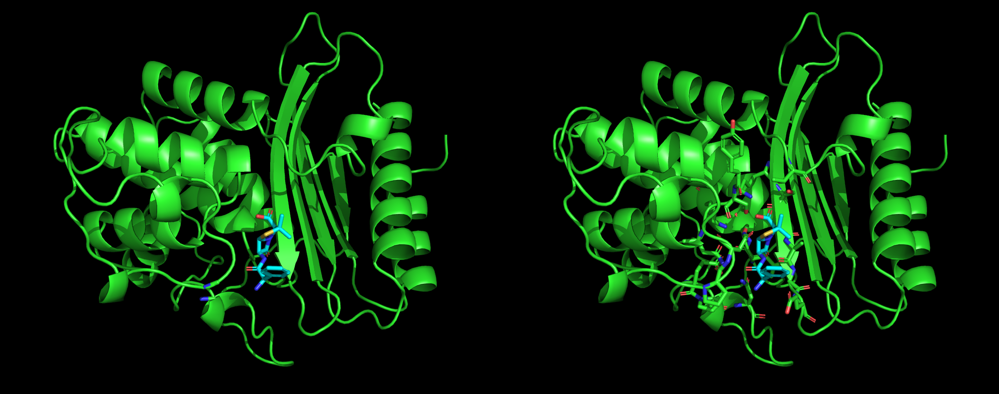 Complex rendered as cartoon compared to also displaying the side chains.