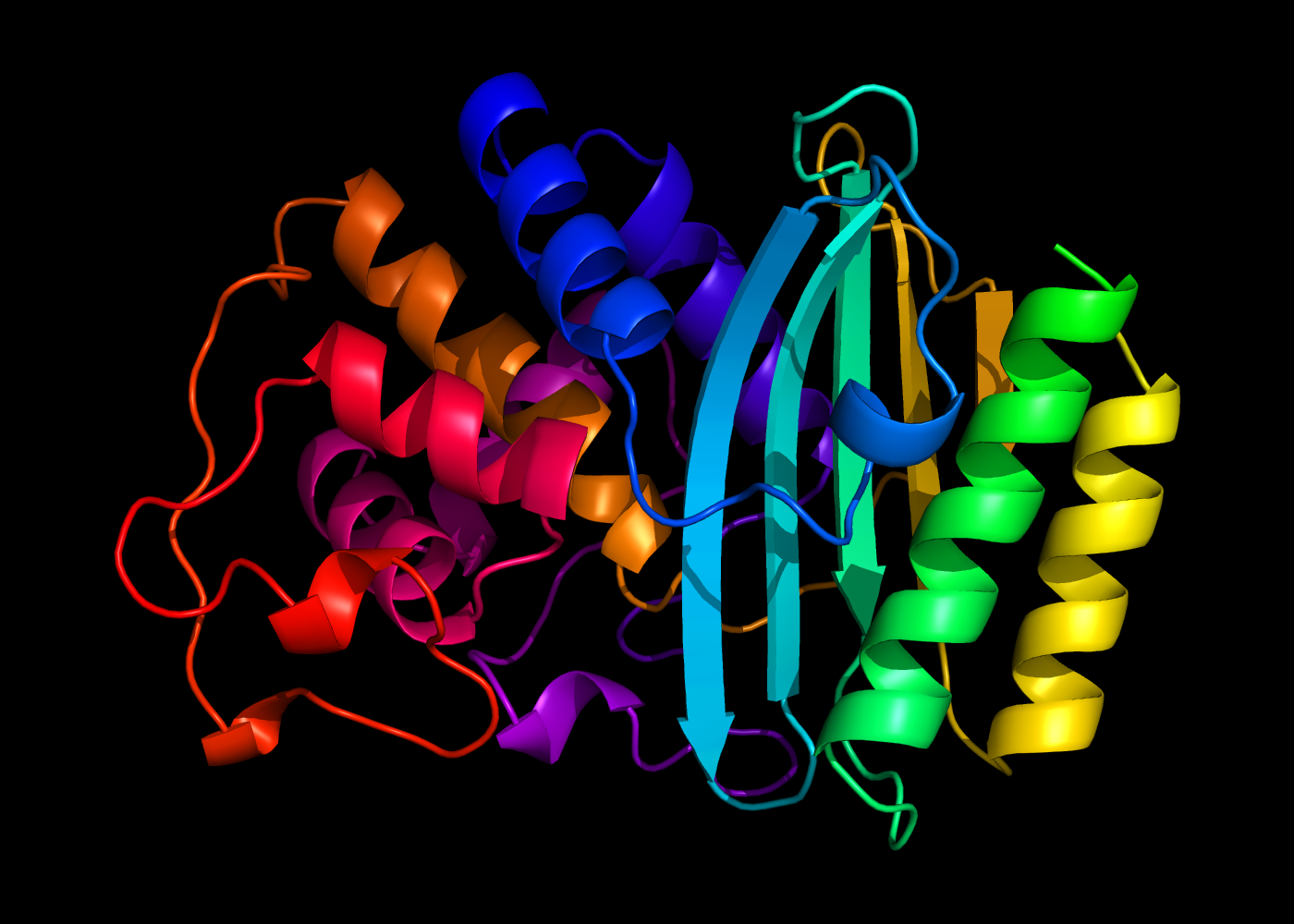 Coloring a protein’s main chain using a very pretty gradient.