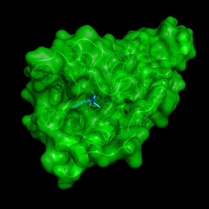 LSD bound to 5-HT2b human serotonin receptor 5TVN.